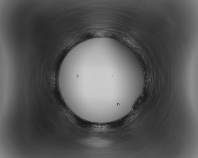 X0000082930469200703020109