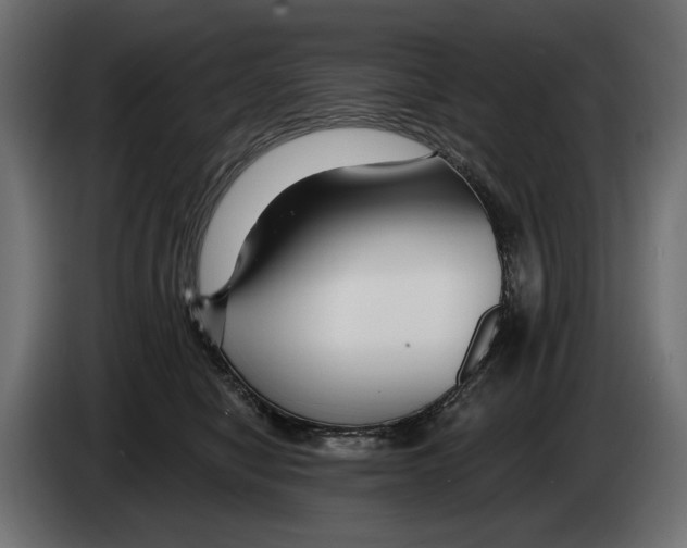 X0000082930470200703020109