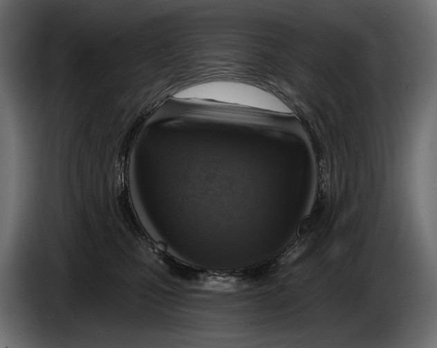 X0000082930471200703020109