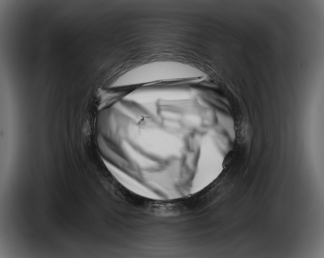 X0000082930472200703020109
