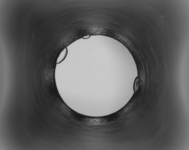 X0000082930473200703020109