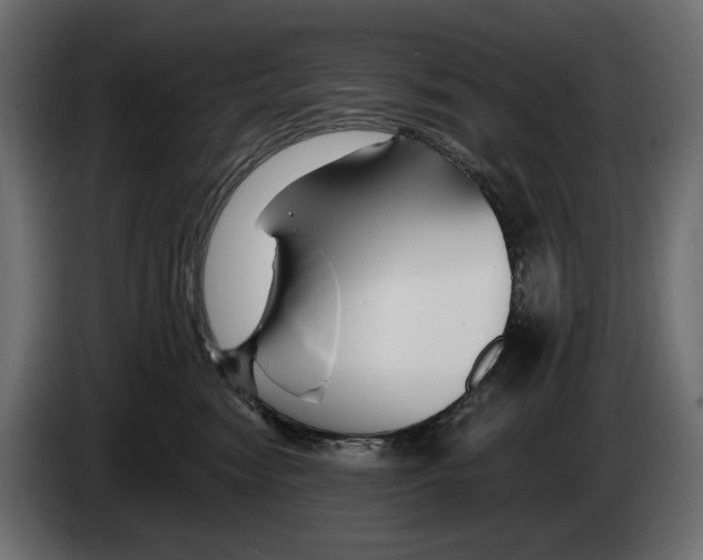X0000082930474200703020109