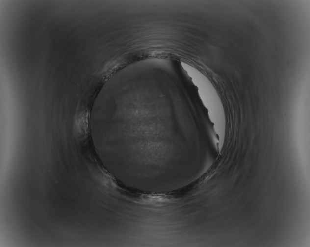 X0000082930475200703020109
