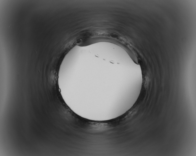 X0000082930476200703020109