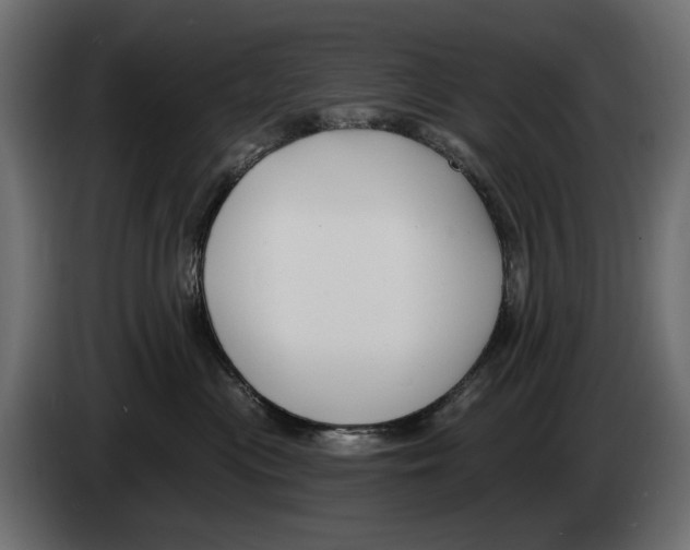 X0000082930477200703020109