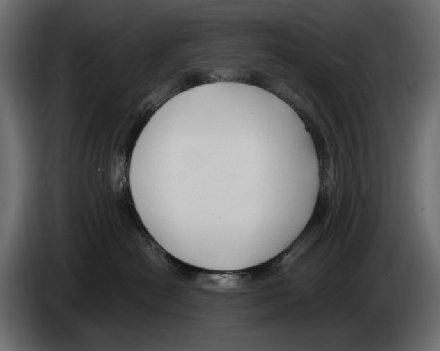 X0000082930478200703020109
