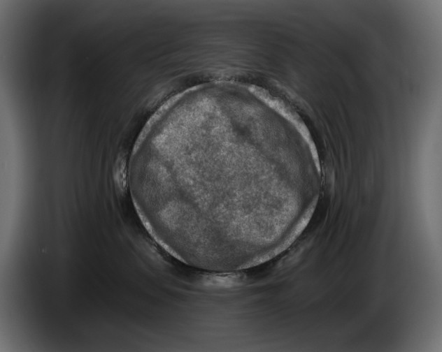 X0000082930479200703020109