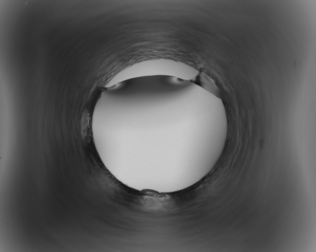 X0000082930480200703020109