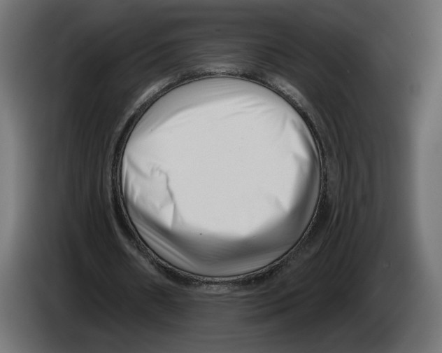 X0000082930482200703020109