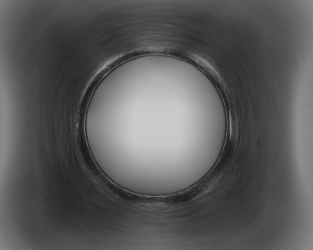 X0000082930483200703020109