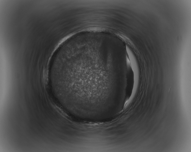 X0000082930484200703020109