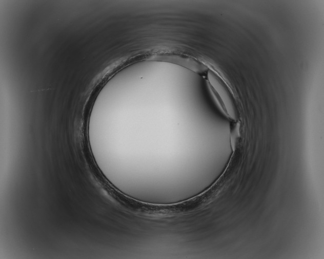 X0000082930485200703020109