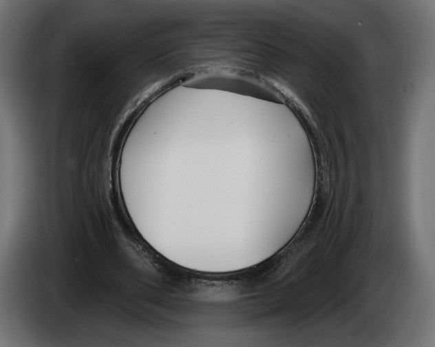 X0000082930486200703020109