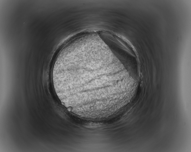 X0000082930487200703020108