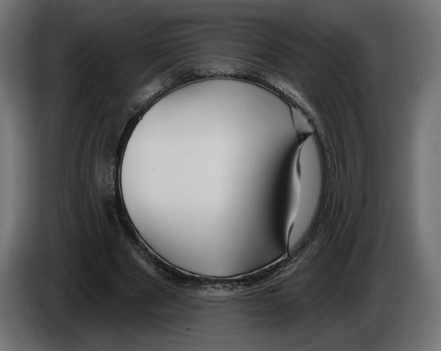 X0000082930489200703020108