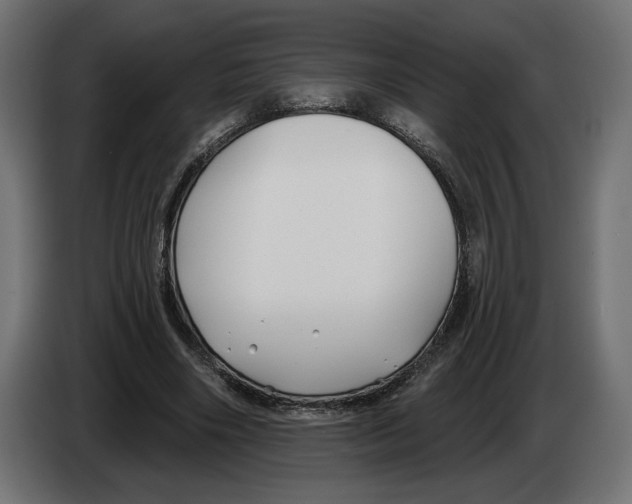 X0000082930490200703020108