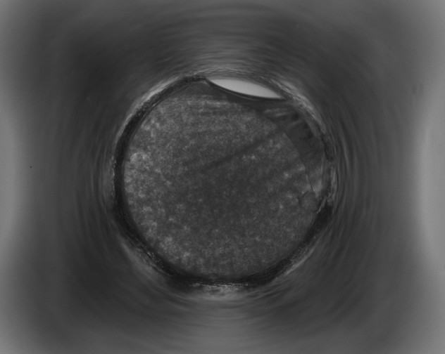X0000082930492200703020108