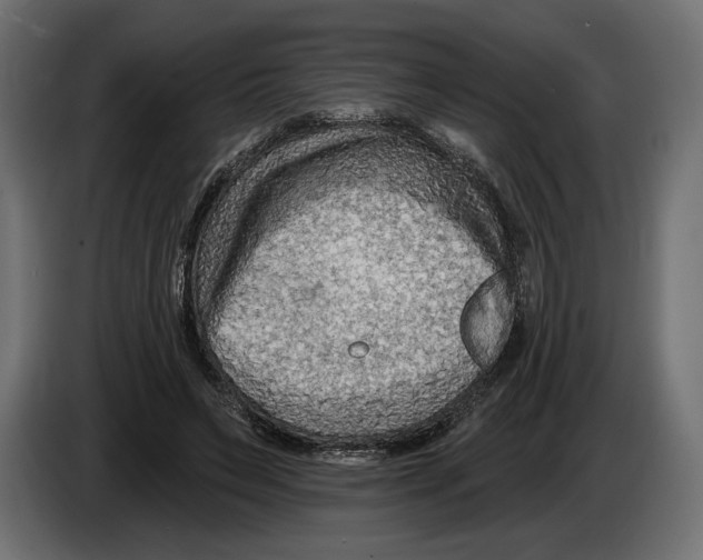 X0000082930495200703020108