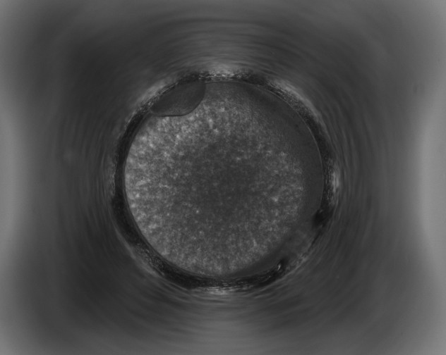 X0000082930496200703020108