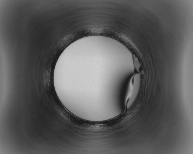X0000082930497200703020108