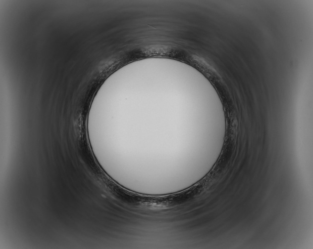 X0000082930498200703020108