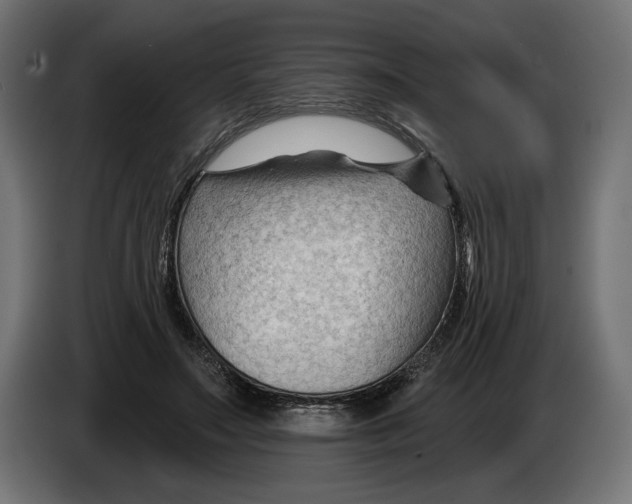 X0000082930499200703020108