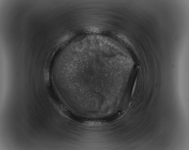 X0000082930500200703020108