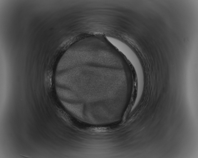 X0000082930501200703020108