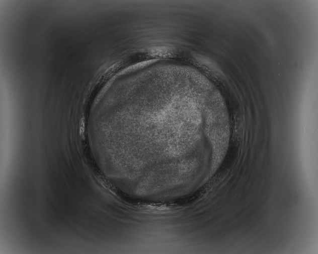 X0000082930502200703020108