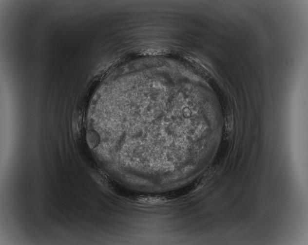 X0000082930503200703020108