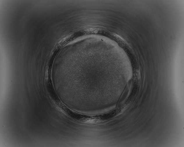 X0000082930504200703020108