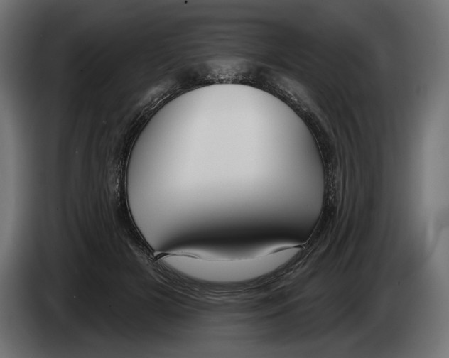 X0000082930505200703020108