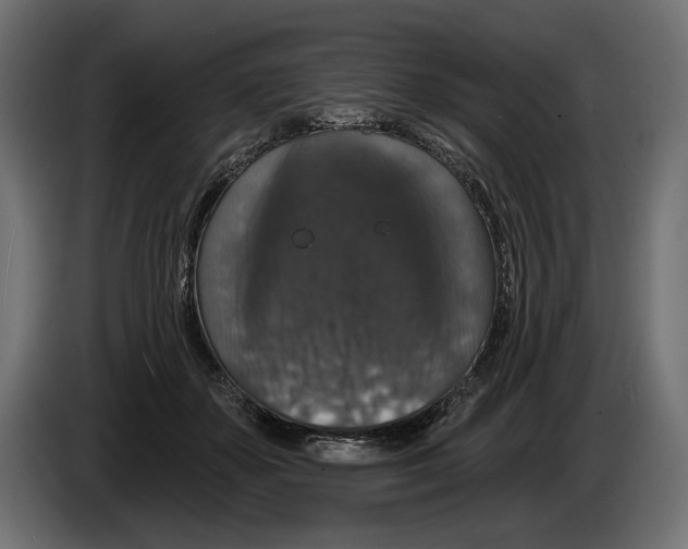 X0000082930507200703020108