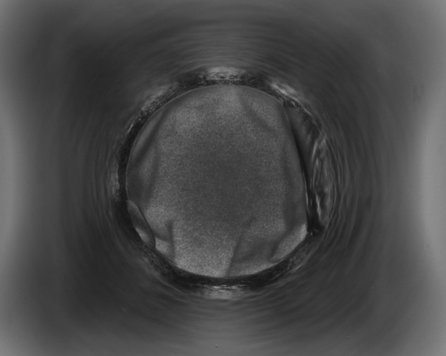 X0000082930508200703020108