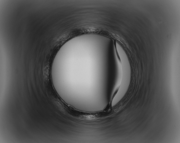 X0000082930509200703020108