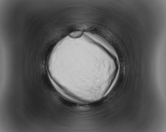 X0000082930510200703020108