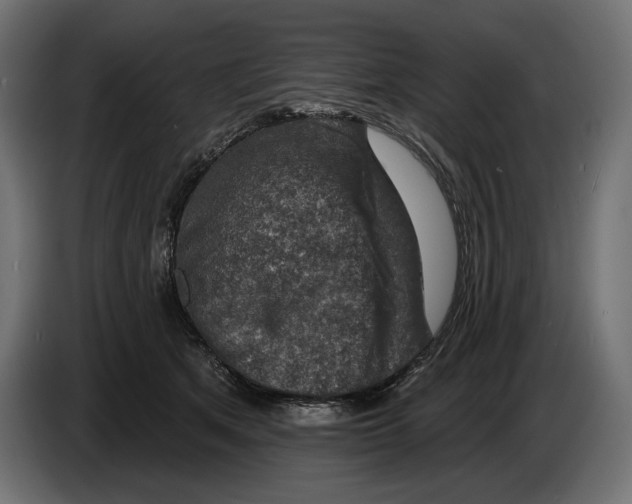 X0000082930513200703020108