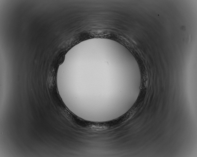 X0000082930515200703020108