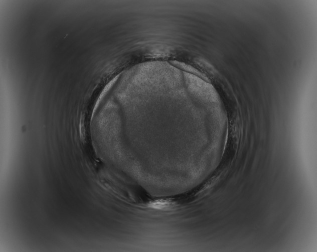 X0000082930516200703020108