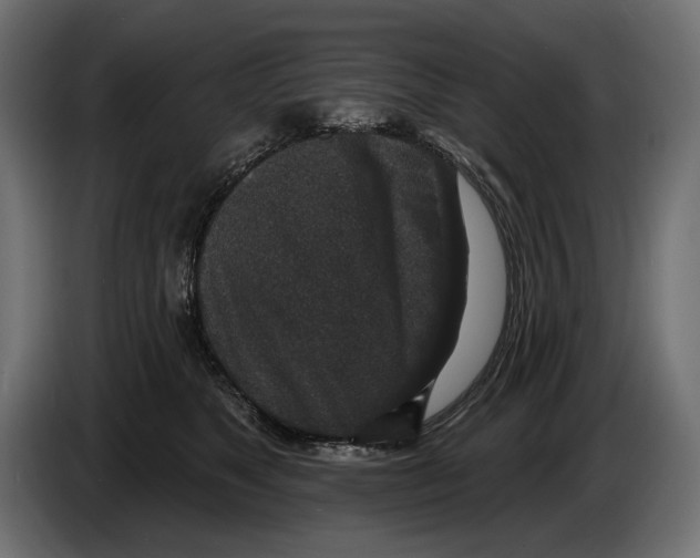 X0000082930517200703020108