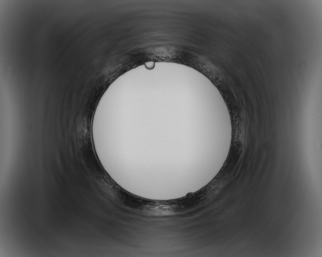 X0000082930518200703020108
