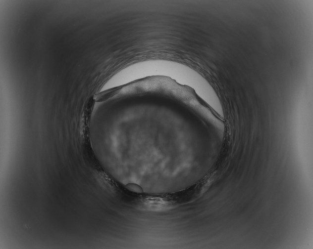 X0000082930519200703020108