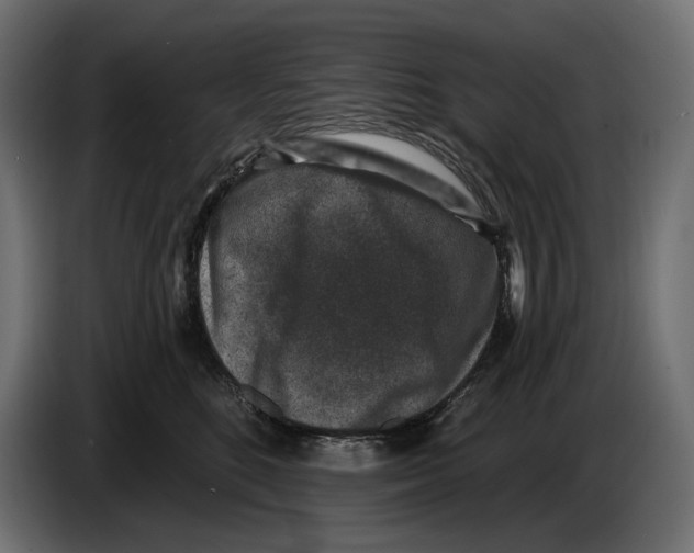 X0000082930520200703020108