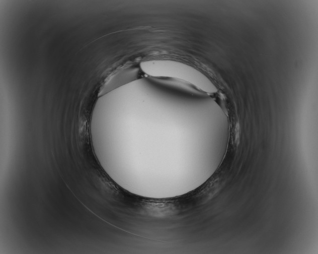 X0000082930521200703020108