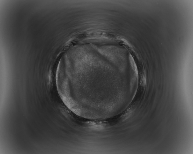 X0000082930524200703020108