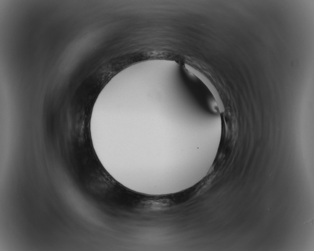 X0000082930525200703020108