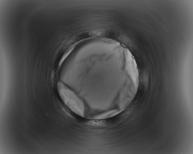 X0000082930526200703020108