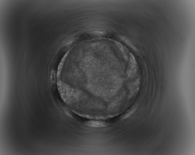 X0000082930528200703020108