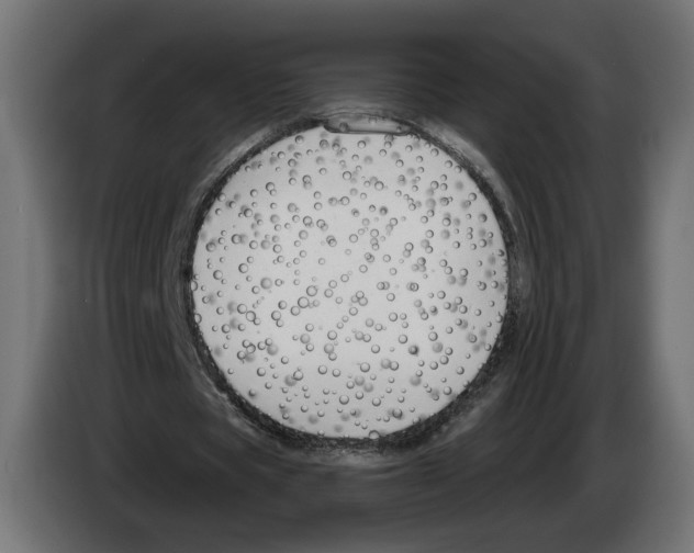 X0000082930529200703020107