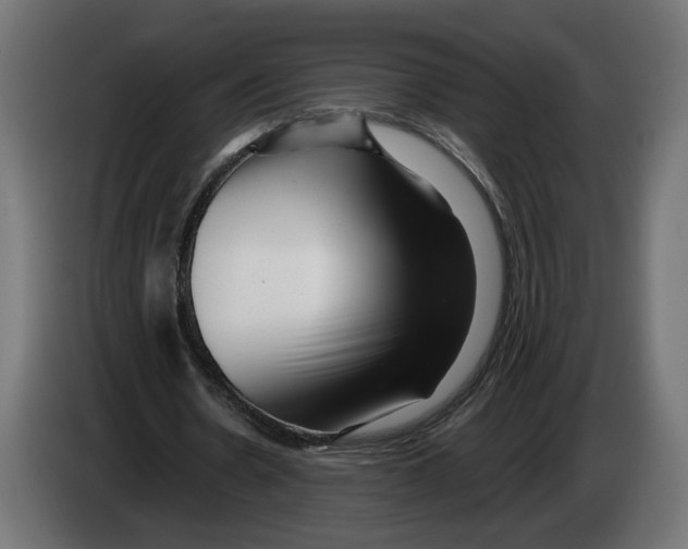X0000082930530200703020107